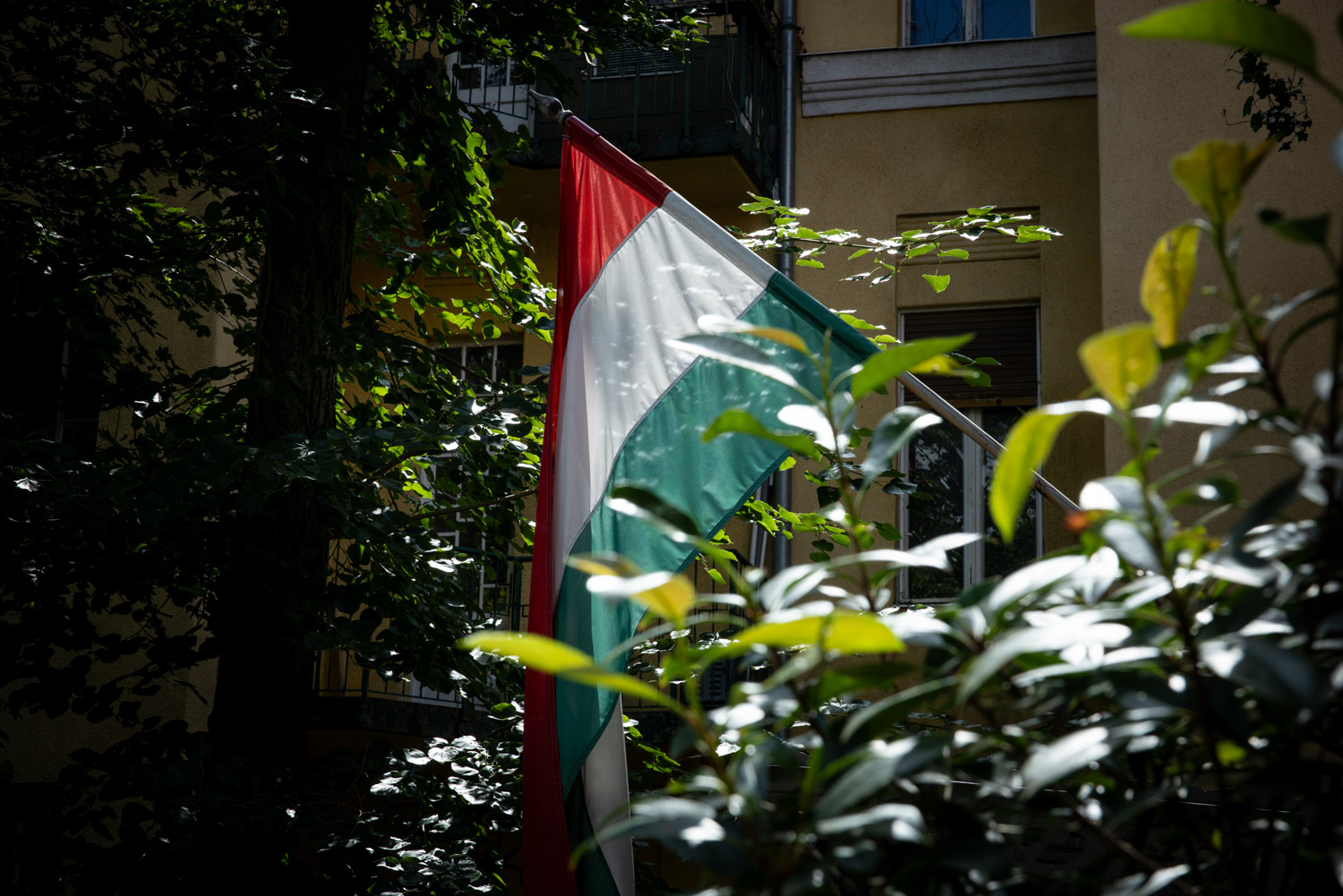 0_FZ6806.jpg